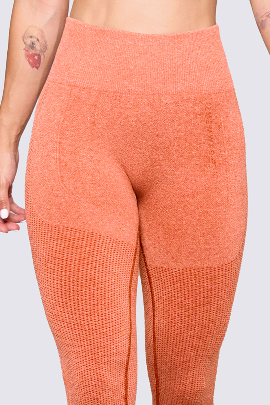 LEGGINGS DEPORTIVO SEAMLESS GF07Q124-S4COR STF