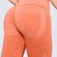 LEGGINGS DEPORTIVO SEAMLESS GF07Q124-S4COR STF